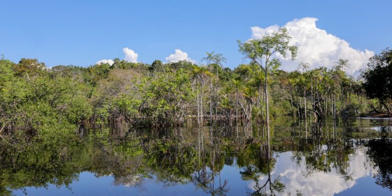 Tesouro muda regras de leilão para projetos sustentáveis tesouro-muda-regras-de-leilao-para-projetos-sustentaveis