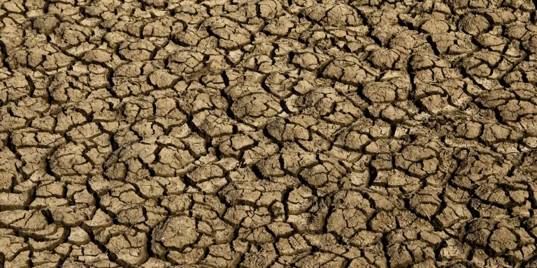 Desertificação no Brasil ameaça segurança hídrica e alimentar desertificacao-no-brasil-ameaca-seguranca-hidrica-e-alimentar